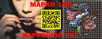 ГАЛЛЮЦИНОГЕННЫЕ ГРИБЫ Нальчик