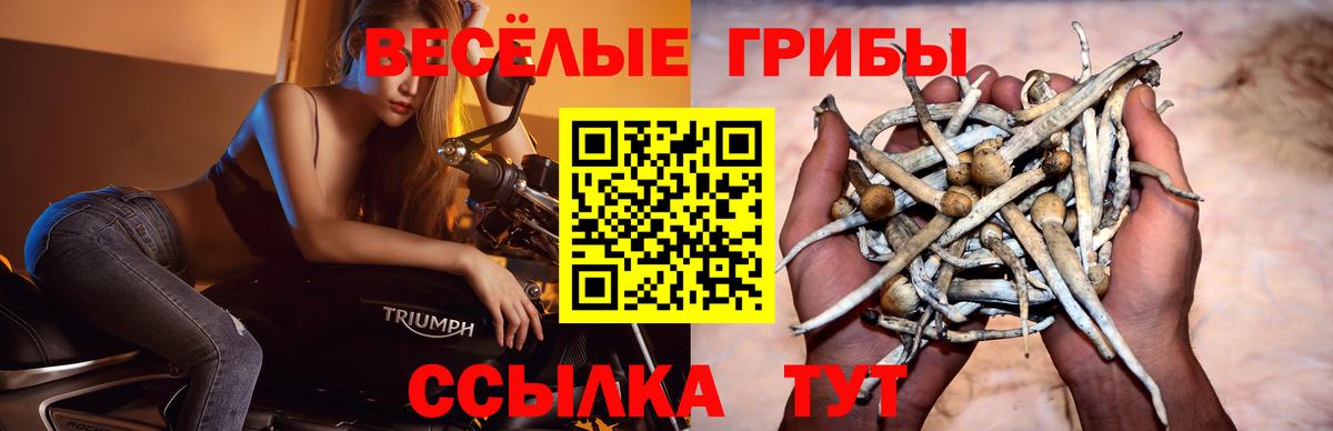 ГАШ Коломна